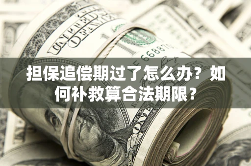 济南担保追偿期过了怎么办？如何补救算合法期限？