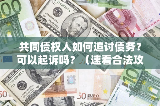 济南共同债权人如何追讨债务？可以起诉吗？（速看合法攻略）